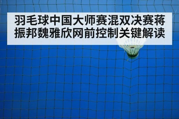 badminton net shot